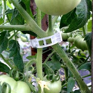 KINGLAKE Plant Support Garden Clips,Tomato Vine Clips,Tomato Trellis Clips 200 Pcs for Vine Vegetables Tomato to Grow Upright and Makes Plants Healthier