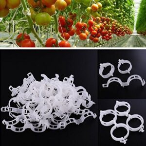 KINGLAKE Plant Support Garden Clips,Tomato Vine Clips,Tomato Trellis Clips 200 Pcs for Vine Vegetables Tomato to Grow Upright and Makes Plants Healthier