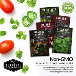 Survival Garden Seeds Salsa Collection Seed Vault - Tomatillo, Tomato, Onion, Jalapeño, Cilantro - Non-GMO Heirloom Seeds for Planting - Grow Vegetables at Home