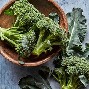 Burpee Sun King Broccoli Seeds 400 seeds