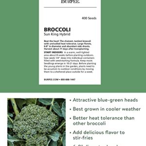 Burpee Sun King Broccoli Seeds 400 seeds