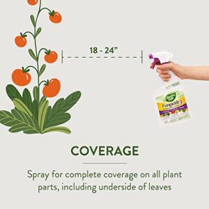 Garden Safe 32 oz. Fungicide Ready to Use