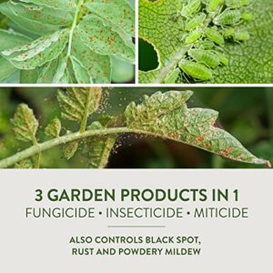 Garden Safe 32 oz. Fungicide Ready to Use