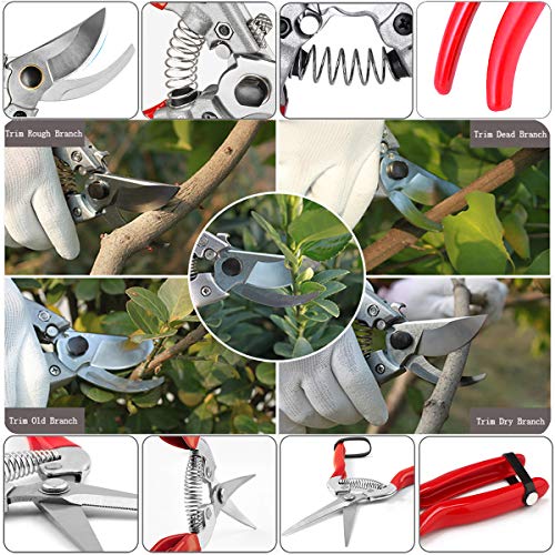 HyleJhJy Pruning Shears with Stainless SK5 Steel Blades+Straight Tip Gardening Shears Garden Shears Garden Clippers Florist Scissors Hand Pruners Garden Tools Gardening Tools Set,Red