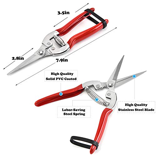 HyleJhJy Pruning Shears with Stainless SK5 Steel Blades+Straight Tip Gardening Shears Garden Shears Garden Clippers Florist Scissors Hand Pruners Garden Tools Gardening Tools Set,Red