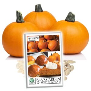 “sugar pie” pumpkin seeds for planting, 20+ heirloom seeds per packet, (isla’s garden seeds), non gmo seeds, non gmo seeds, botanical name: cucurbita pepo, this variety is for making pumpkin pie!