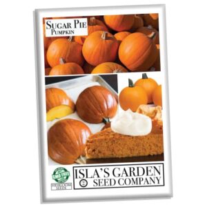 "Sugar Pie" Pumpkin Seeds for Planting, 20+ Heirloom Seeds Per Packet, (Isla's Garden Seeds), Non GMO Seeds, Non GMO Seeds, Botanical Name: Cucurbita Pepo, This Variety is for Making Pumpkin Pie!