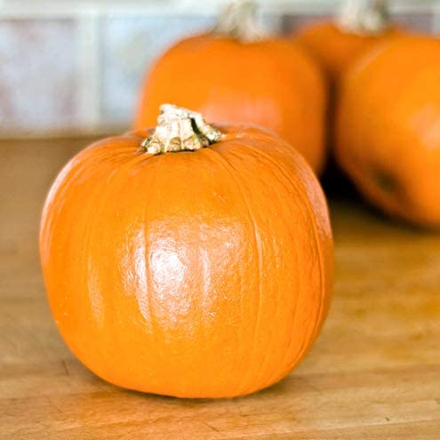 "Sugar Pie" Pumpkin Seeds for Planting, 20+ Heirloom Seeds Per Packet, (Isla's Garden Seeds), Non GMO Seeds, Non GMO Seeds, Botanical Name: Cucurbita Pepo, This Variety is for Making Pumpkin Pie!