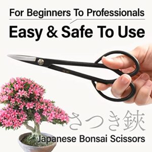 Japanese Suiryu Satsuki Bonsai Scissors - Long Handle Pruning Shears, Yasugi Steel, Traditional Japanese Bonsai Garden Tools, Made in Japan (7inch)