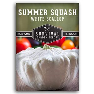 survival garden seeds – white scallop summer squash seed for planting – packet with instructions to plant and grow patty pan squash in your home vegetable garden – non-gmo heirloom variety