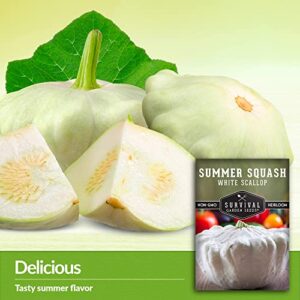 Survival Garden Seeds - White Scallop Summer Squash Seed for Planting - Packet with Instructions to Plant and Grow Patty Pan Squash in Your Home Vegetable Garden - Non-GMO Heirloom Variety