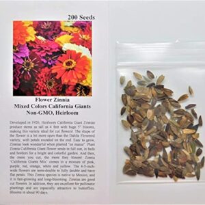 David's Garden Seeds Flower Zinnia Mixed Colors California Giants FBA-0009 (Multi) 200 Non-GMO, Heirloom Seeds