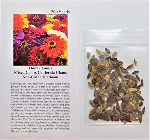 David's Garden Seeds Flower Zinnia Mixed Colors California Giants FBA-0009 (Multi) 200 Non-GMO, Heirloom Seeds