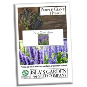 "Purple Giant" Hyssop Seeds for Planting, Fragrant Herb, 250+ Seeds Per Packet, (Isla's Garden Seeds), Non GMO & Heirloom Seeds, Botanical Name: Agastache Rugosa, Great Home Garden Gift