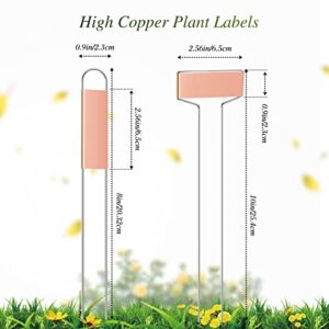 61 Pieces Metal Plant Tags Kit, 30 Pieces Copper Metal Plant Tags,10 Inch Rectangle and 8 Inch U Shape Plant Labels, 30 Rainproof PET Films,1 Marker Pen, Reusable Planting Garden Markers Nursery Tags