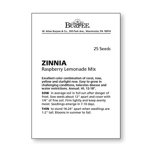 Burpee Raspberry Lemonade Mix Zinnia Seeds 25 seeds