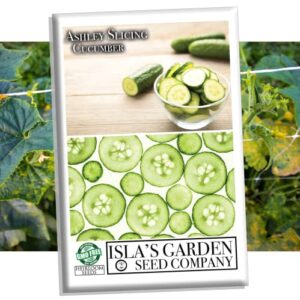 ashley slicing cucumber seeds for planting, 50+ heirloom seeds per packet, (isla’s garden seeds), non gmo seeds, botanical name: cucumis sativus, great home garden gift