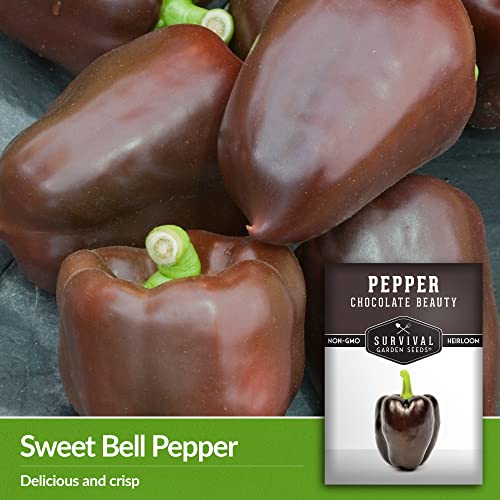 Survival Garden Seeds - Chocolate Beauty Pepper Seed for Planting - Packet with Instructions to Plant and Grow Beautiful Brown Bell Peppers in Your Home Vegetable Garden - Non-GMO Heirloom Variety