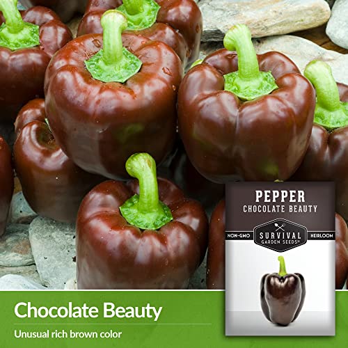 Survival Garden Seeds - Chocolate Beauty Pepper Seed for Planting - Packet with Instructions to Plant and Grow Beautiful Brown Bell Peppers in Your Home Vegetable Garden - Non-GMO Heirloom Variety