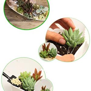 Metrmiss 1 14 Pieces Bonsai Set Succulent Garden Hand Tools with Mini Ra, w