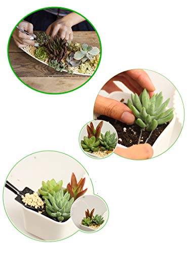 Metrmiss 1 14 Pieces Bonsai Set Succulent Garden Hand Tools with Mini Ra, w