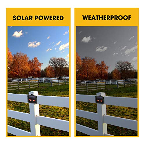 4 Packs Animal Repellent - Solar Predator Control Lights - Fox Deterrents for Gardens - Deer Repellent Devices - Raccoon Repellent - Cat Repellent - Fox Repellent - Motion Sensor Eye Guard