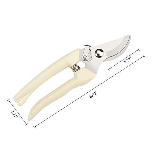 Garden Scissors for Plant, Tip Pruning Shears for Cutting Flowers, Trimming Plants, Bonsai and Fruits Picking (Bypass Blade Pruner)