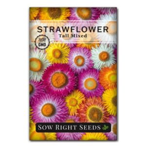 sow right seeds tall mixed strawflower seeds – full instructions for planting – beautiful to plant in your flower garden – non-gmo heirloom seeds – cut flower favorite – wonderful gardening gift