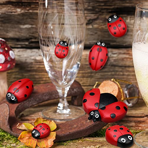 18 Pcs Small Ladybugs Stepping Stones Decor Ladybug Garden Yard Decorations Outdoor 4 Size Lively Ladybug Gifts Ornaments Lady Bugs Garden Decorations for Garden Outdoors Decorations Mom Gifts