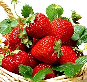 300pcs Giant Strawberry Seeds, Sweet Red Strawberry/Organic Garden Strawberry Fruit Seeds, for Home Garden Planting