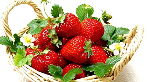 300pcs Giant Strawberry Seeds, Sweet Red Strawberry/Organic Garden Strawberry Fruit Seeds, for Home Garden Planting