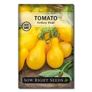 sow right seeds – yellow pear tomato seed for planting – non-gmo heirloom packet with instructions to plant a home vegetable garden – great gardening gift (1)