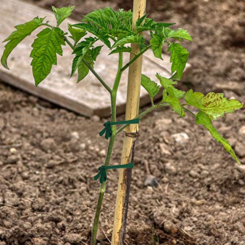 BBTO 30 Meter/ 98 Feet Green Garden Twine Garden Plant Tie Tree Tie Stretchy Plant Support Tie for Garden Office and Home Cable Organizing, Craft Supplies(1 Roll)