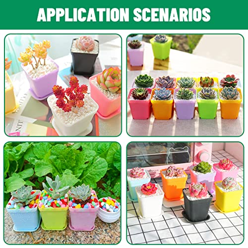 Plant Pots, 18Pcs Plastic Plant Pot, Flower Pots for Indoor Plants 2.75 in × 3.15 in, Plant Pots with Drainage Holes and Saucers, 6 Colors Plastic Planters for Indoor Plants, Flowers, Garden, Outdoor