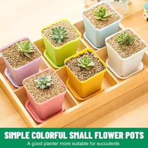 Plant Pots, 18Pcs Plastic Plant Pot, Flower Pots for Indoor Plants 2.75 in × 3.15 in, Plant Pots with Drainage Holes and Saucers, 6 Colors Plastic Planters for Indoor Plants, Flowers, Garden, Outdoor