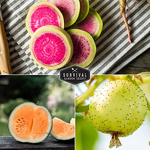 Survival Garden Seeds Exotic Vegetable Collection - Purple Vienna Kohlrabi, Lemon Cucumber, Watermelon Radishes, Opal Basil, Strawberry Popcorn, Tendersweet Orange Watermelon Non-GMO Heirloom Seeds