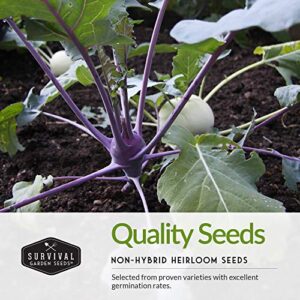 Survival Garden Seeds Exotic Vegetable Collection - Purple Vienna Kohlrabi, Lemon Cucumber, Watermelon Radishes, Opal Basil, Strawberry Popcorn, Tendersweet Orange Watermelon Non-GMO Heirloom Seeds