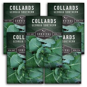 survival garden seeds – georgia southern collards seed for planting – pack with instructions to plant and grow healthy collard greens in your home vegetable garden – non-gmo heirloom variety – 5 packs