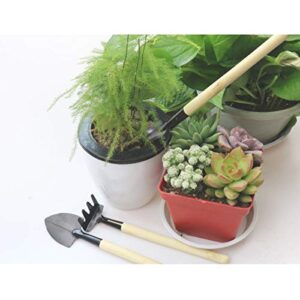 Bonsai Set 8 Pcs - Include Pruner,Fold Scissors,Mini Rake,Bud & Leaf Trimmer Set by ZELAR Made