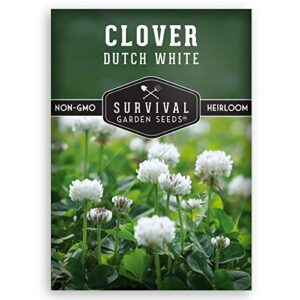 survival garden seeds – dutch white clover seed for planting – packet with instructions to plant and grow white clover as ground cover, erosion control or cover crop – non-gmo heirloom variety