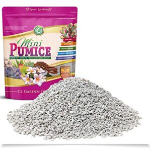 pumice stone grow media – made in usa for bonsai • succulents • cactus • orchids – horticultural soil amendment additive conditioner for indoor and outdoor plants and organic gardens