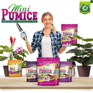Pumice Stone Grow Media - Made in USA for Bonsai • Succulents • Cactus • Orchids - Horticultural Soil Amendment Additive Conditioner for Indoor and Outdoor Plants and Organic Gardens