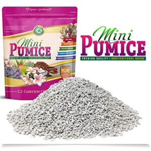 Pumice Stone Grow Media - Made in USA for Bonsai • Succulents • Cactus • Orchids - Horticultural Soil Amendment Additive Conditioner for Indoor and Outdoor Plants and Organic Gardens