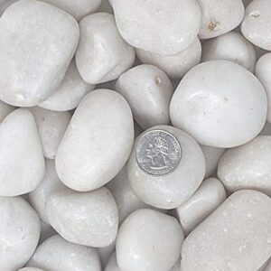 Midwest Hearth Natural Decorative Polished White Stones 1" to 2" Size (10-lb Bag)