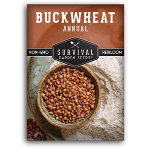 survival garden seeds – buckwheat seed for planting – packet with instructions to plant and grow a cover crop and buckwheat plants in your home vegetable garden – non-gmo heirloom variety