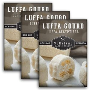 survival garden seeds – luffa or loofah seed for planting – packet with instructions to plant and grow ornamental gourds in your home vegetable garden – non-gmo heirloom variety – 3 pack