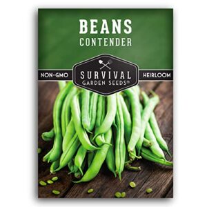 survival garden seeds – contender bush bean seed for planting – packet with instructions to plant and grow delicious & stringless green beans in your home vegetable garden – non-gmo heirloom variety
