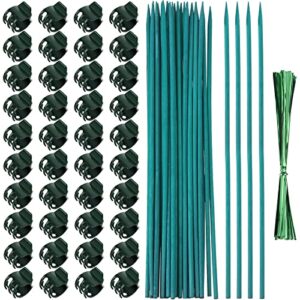 jetec 40 pieces orchid clips plastic garden plant clips with 20 pieces plant support stakes, 20 pieces metallic twist ties for supporting stems vines stalks grow upright (30 cm)
