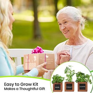 Indoor Herb Garden Kit - Includes 3 Wooden Herb Pots, Internal drip Trays, Soil Pellets, Chalk, Instructions Booklet and Basil, Oregano & Thyme Non GMO Herb Seeds. DIY Kitchen Herbs Growing Kit.…