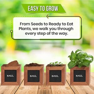 Indoor Herb Garden Kit - Includes 3 Wooden Herb Pots, Internal drip Trays, Soil Pellets, Chalk, Instructions Booklet and Basil, Oregano & Thyme Non GMO Herb Seeds. DIY Kitchen Herbs Growing Kit.…